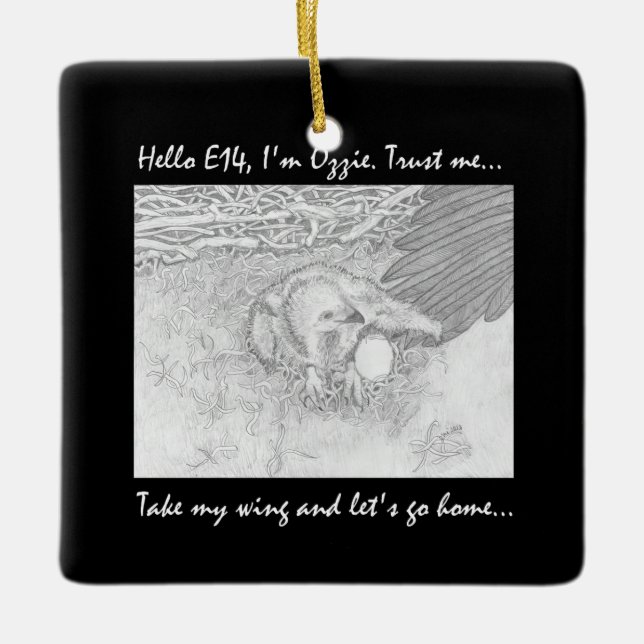 ORNAMENTO DE CERÂMICA E14 DÁDIVA EM CASA NA CONFIANÇA DA AERONA DE OZZIE (Frente)