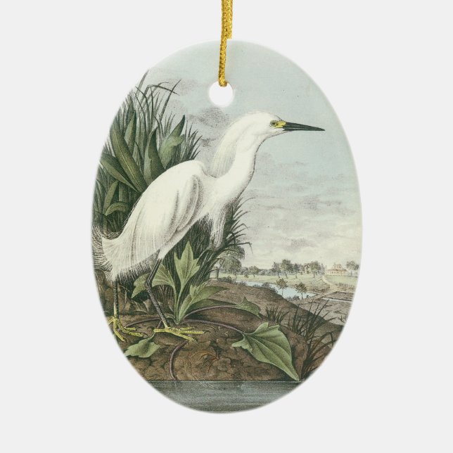 Ornamento De Cerâmica Egret nevado por Audubon (Frente)