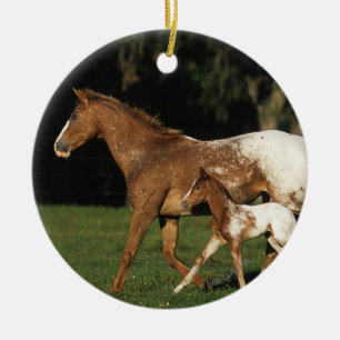 Ornamento De Cerâmica Égua e potro do Appaloosa