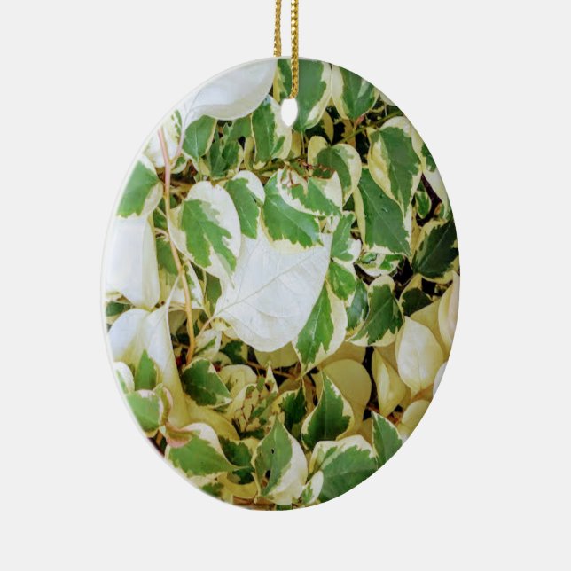 Ornamento De Cerâmica Elegante Garden Rustic (Direito )