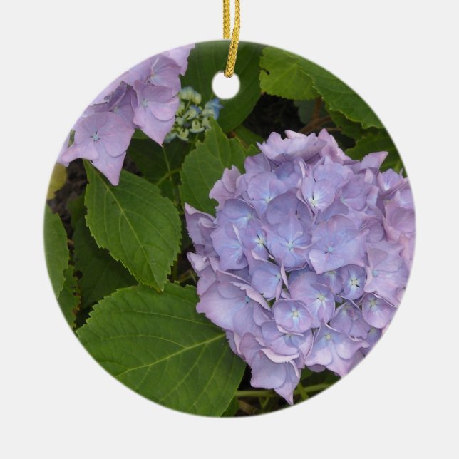 Ornamento De Cerâmica Elegante Mauve Hydrangeas (Frente)