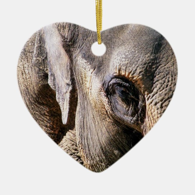 ORNAMENTO DE CERÂMICA ELEPHANT (Frente)