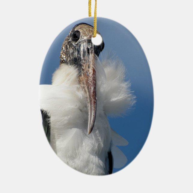 Ornamento De Cerâmica Elvis - Wood Stork - Ornament (Verso)