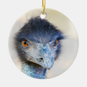 Ornamento De Cerâmica Emu