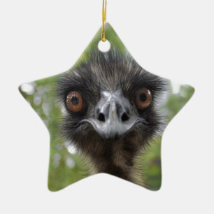Ornamento De Cerâmica Emu