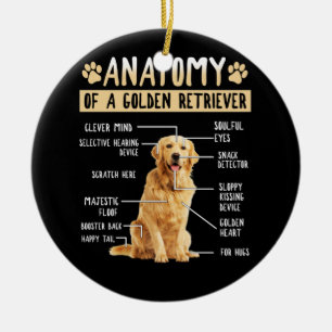 Ornamento De Cerâmica Engraçado Ouro Anatomista Retriever Cachorro Pres