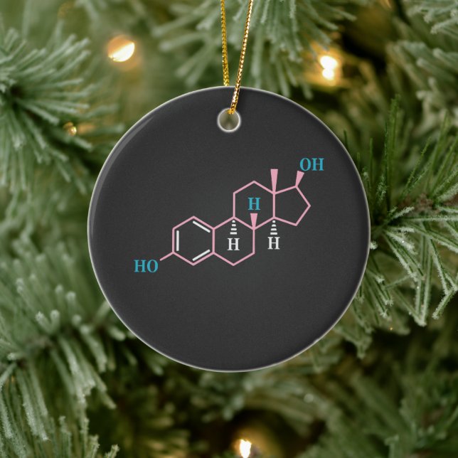 Ornamento De Cerâmica Engraçado Transgênero Trans LGBT Orgulho Direitos  (Árvore)