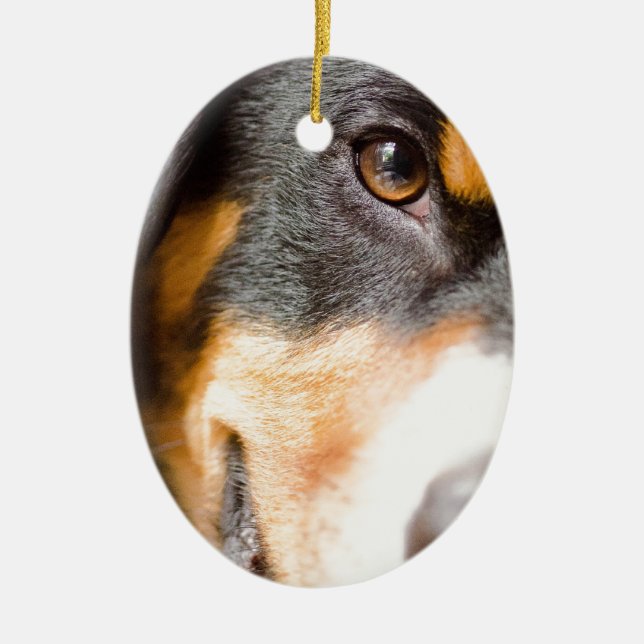Ornamento De Cerâmica Entlebucher - I've obteve meus olhos em você! (Frente)