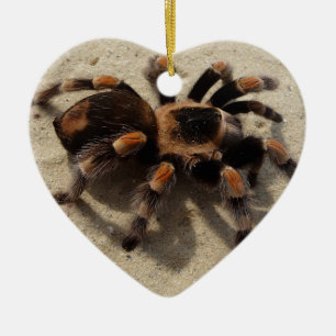 Ornamento De Cerâmica Envenenamento tarantula brachypelma vermelho-joelh