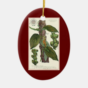 Ornamento De Cerâmica Ervas e especiarias alimentares vintage, planta de