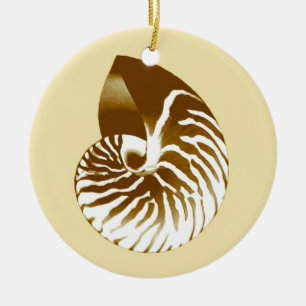 Ornamento De Cerâmica Escudo do nautilus - marrom, branco e bege