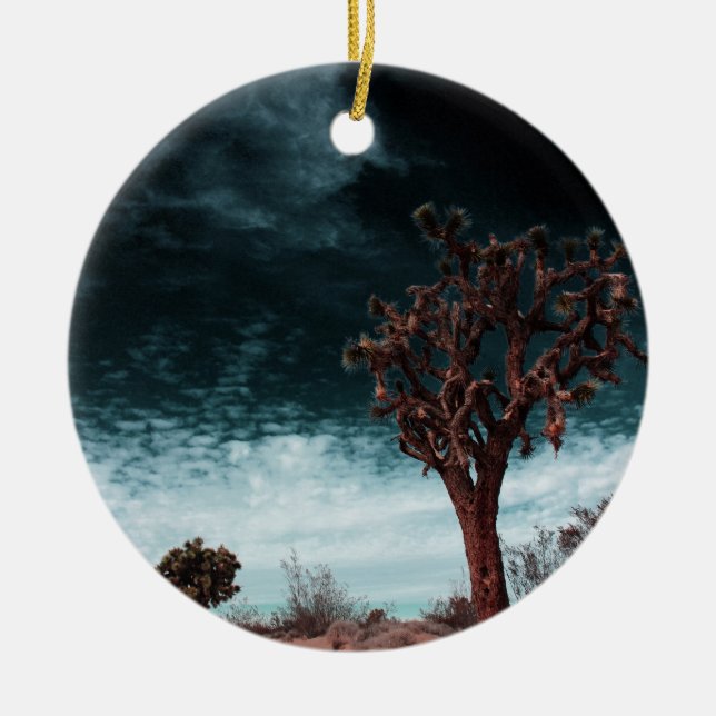 Ornamento De Cerâmica Especial da Árvore Joshua (Frente)