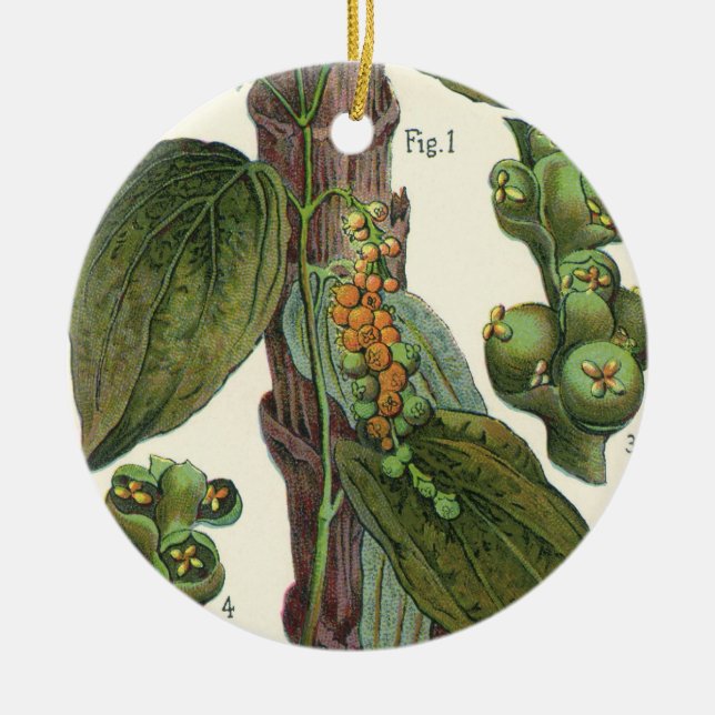 Ornamento De Cerâmica Especiarias de Comidas de vindima, pimenta preta (Frente)