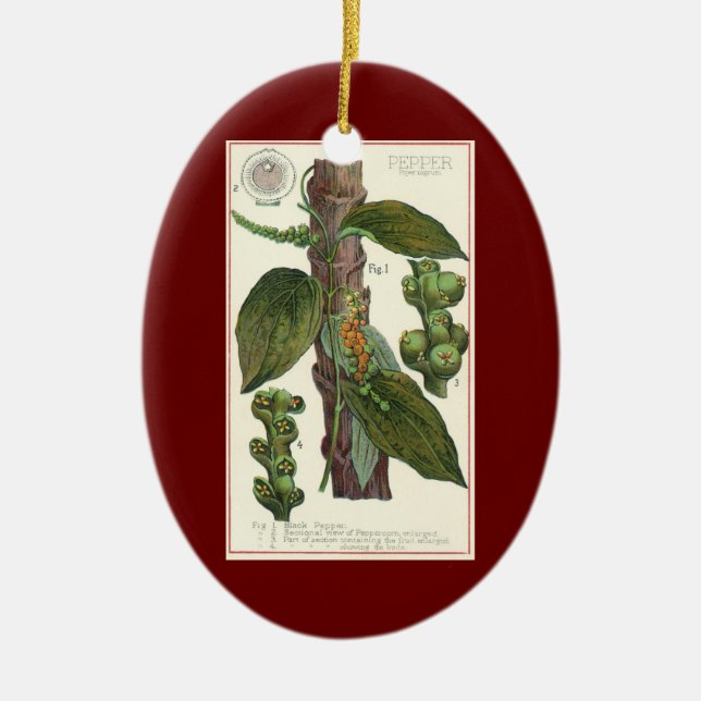 Ornamento De Cerâmica Especiarias de Comidas de vindima, pimenta preta (Frente)