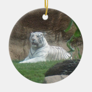 Ornamento De Cerâmica Espécie em vias de extinção branca Basking do ~
