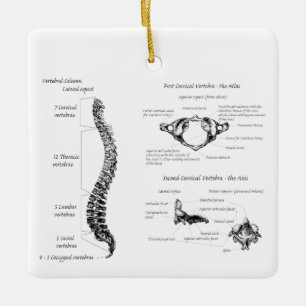 Ornamento De Cerâmica Espinha