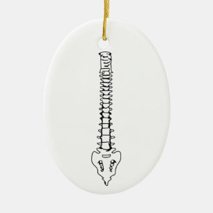 Ornamento De Cerâmica Espinha humana