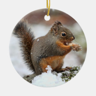 Ornamento De Cerâmica Esquilo bonito na foto da neve