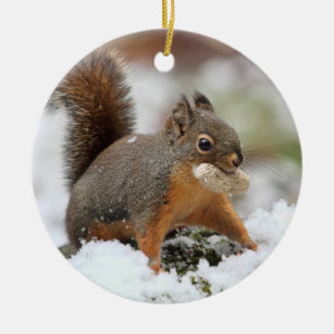 Ornamento De Cerâmica Esquilo bonito na neve com amendoim