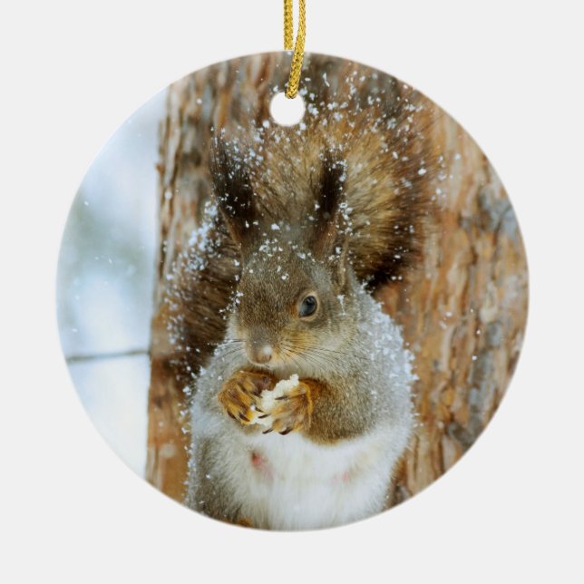 Ornamento De Cerâmica Esquilo bonito numa paisagem de inverno (Frente)