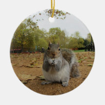 Esquilo Cinzento Hyde Park.