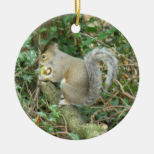 Ornamento De Cerâmica Esquilo com Acorn Custom Birthday