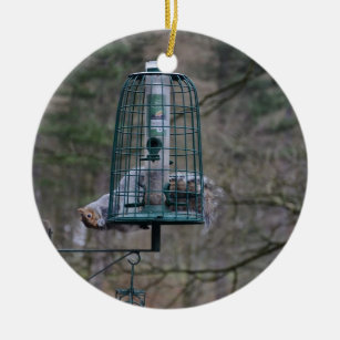 Ornamento De Cerâmica Esquilo no alimentador do pássaro
