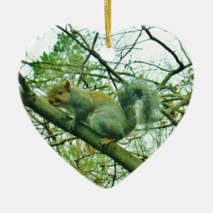 Ornamento De Cerâmica Esquilo numa Cintura Azul Claro