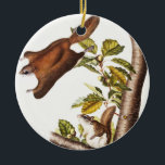 Ornamento De Cerâmica Esquilo Voador de Oregon (Pteromys Origonensis)<br><div class="desc">Esquilo Voador de Oregon (Pteromys Origonensis) dos quadrúpedes vívidos da América do Norte (1845) ilustrados por John Woodhouse Audubon (1812-1862)</div>