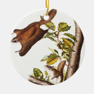 Ornamento De Cerâmica Esquilo Voador de Oregon (Pteromys Origonensis)