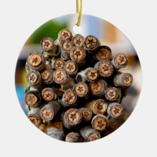 Ornamento De Cerâmica Estrelas ao longo das árvores de madeira de algod