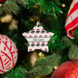 Ornamento De Cerâmica Estrelas de Natal da Raça Canina Pekingese