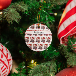 Ornamento De Cerâmica Estrelas de Natal da Raça de Cão Sem Pelo Mexicano