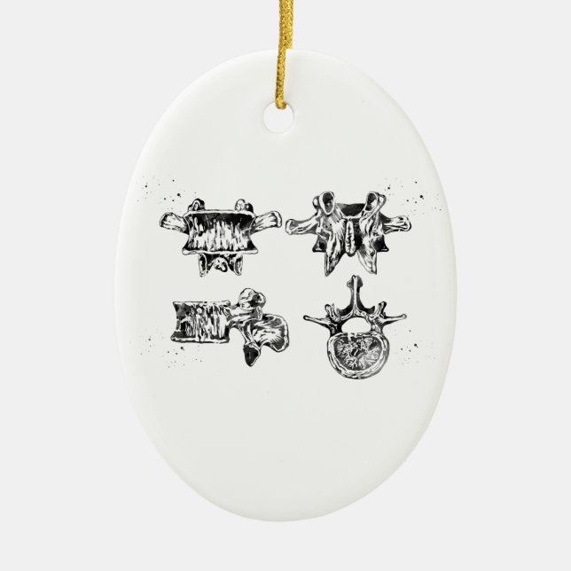 Ornamento De Cerâmica Estrutura da coluna lombar (Frente)