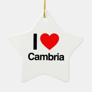Ornamento De Cerâmica eu amo o cambria