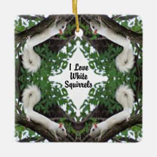 Ornamento De Cerâmica Eu amo os esquilos brancos