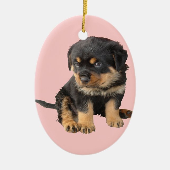 Ornamento De Cerâmica Eu não preciso ser dito que sou bonito (Frente)