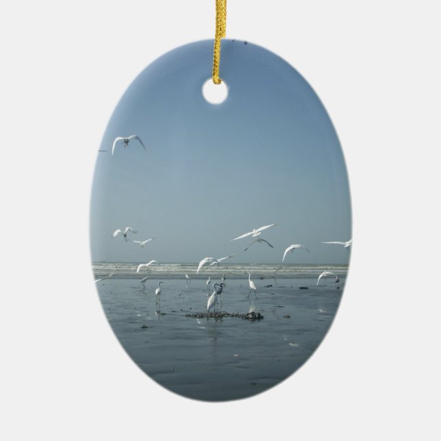 Ornamento De Cerâmica Eu posso voar (Frente)