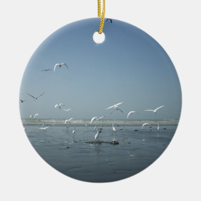 Ornamento De Cerâmica Eu posso voar (Frente)