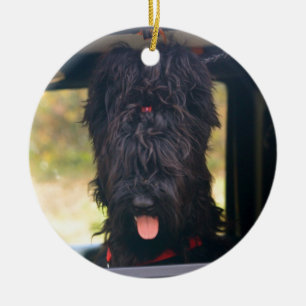 Ornamento De Cerâmica Eu possuo este jipe