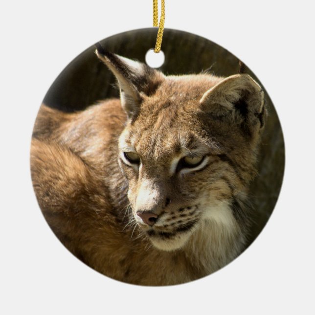 Ornamento De Cerâmica Eurasian Lynx (Frente)