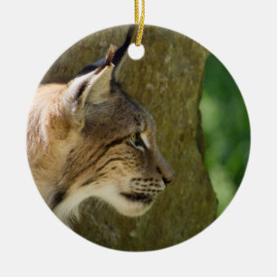 Ornamento De Cerâmica Eurasian Lynx