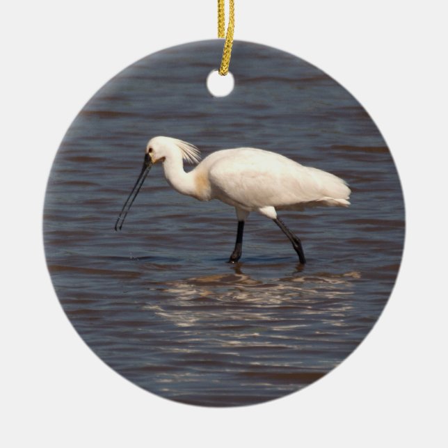 Ornamento De Cerâmica Eurasian Spoonbill (Frente)
