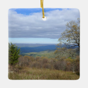 Ornamento De Cerâmica Exibição de lacunas de Thornton no Primavera