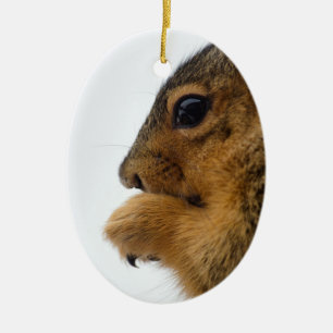 Ornamento De Cerâmica Existential Squirrel