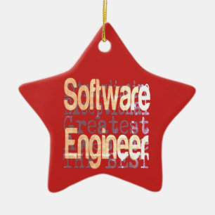 Ornamento De Cerâmica Extraordinário do Engenheiro de software
