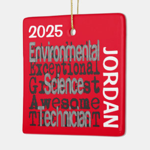 Ornamento De Cerâmica Extraordinário Técnico de Ciência Ambiental
