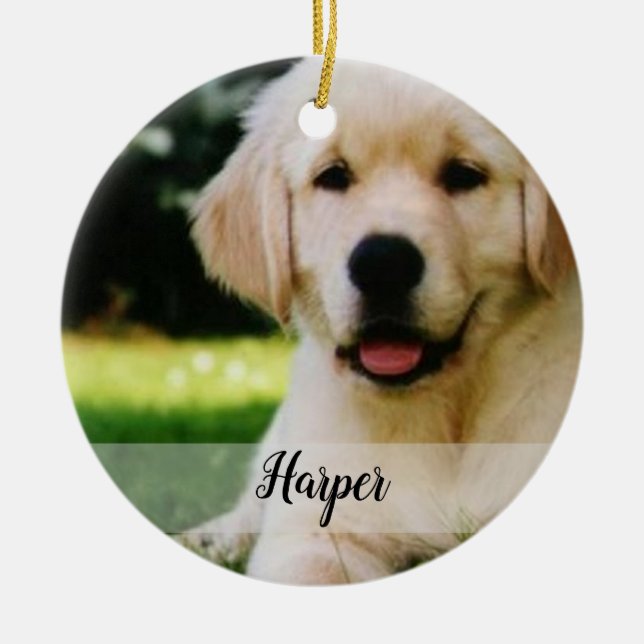 Ornamento De Cerâmica Faça Seu Próprio Pedido De Pet (Frente)