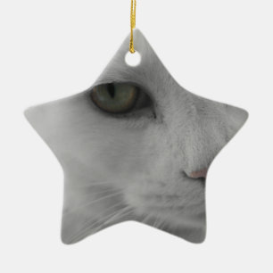 Ornamento De Cerâmica Face de gatos brancos e pretos