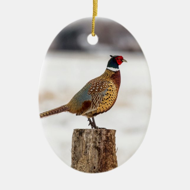 Ornamento De Cerâmica Faisão (Frente)